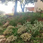 Sugheretello Bauernhof *